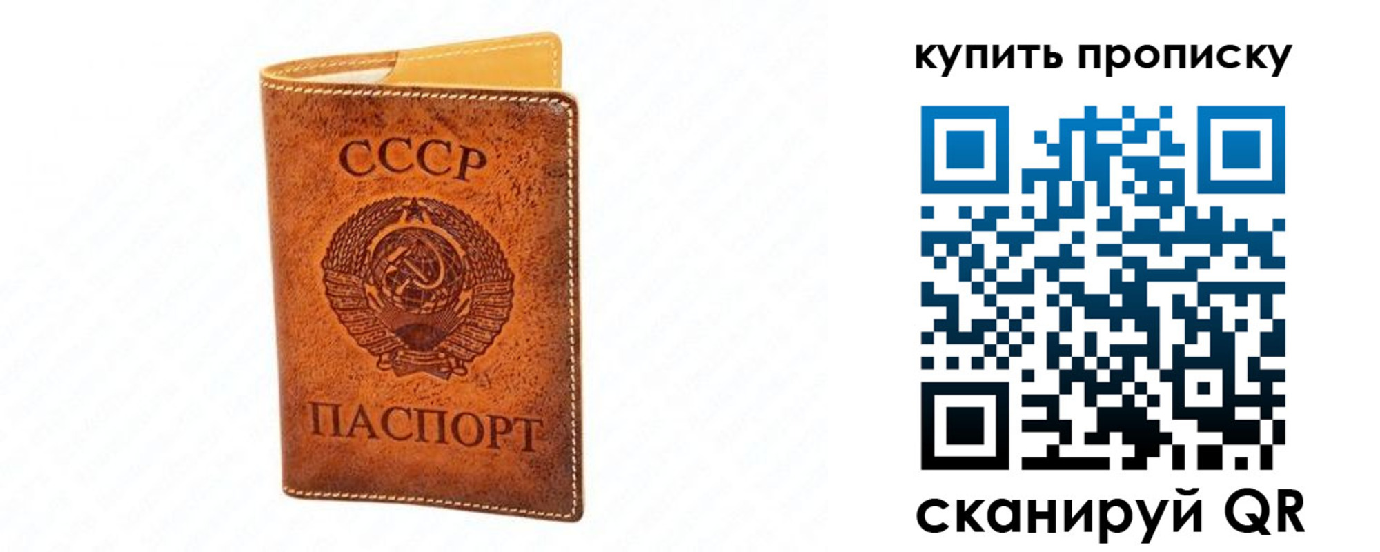 прописка поиск в Кашине