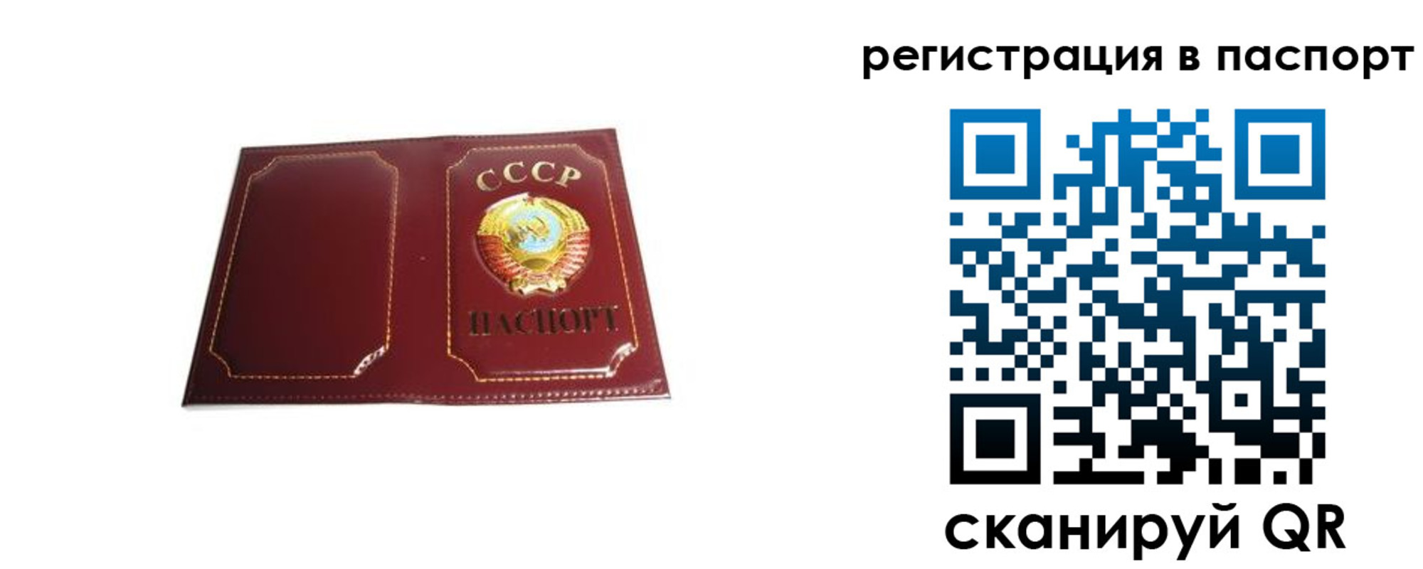 прописка 2025 в Кашине