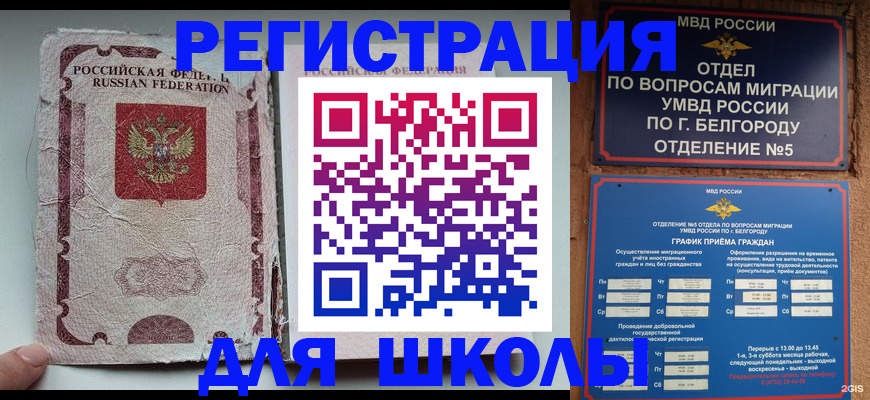 прописка гарантия в Кашине